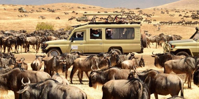 Recomendaciones para ir de safari a Tanzania